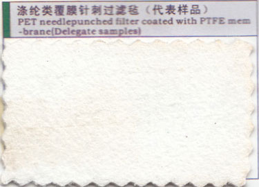 滌綸類覆膜針刺過濾氈(代表樣品)